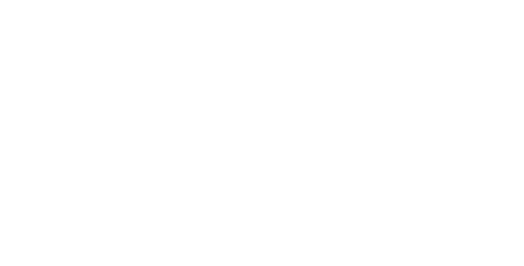 Boerum Hill Partners